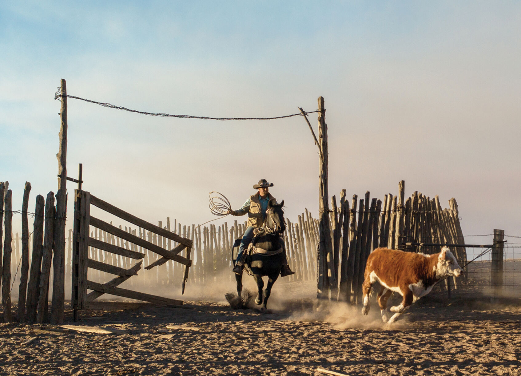 Cowboys